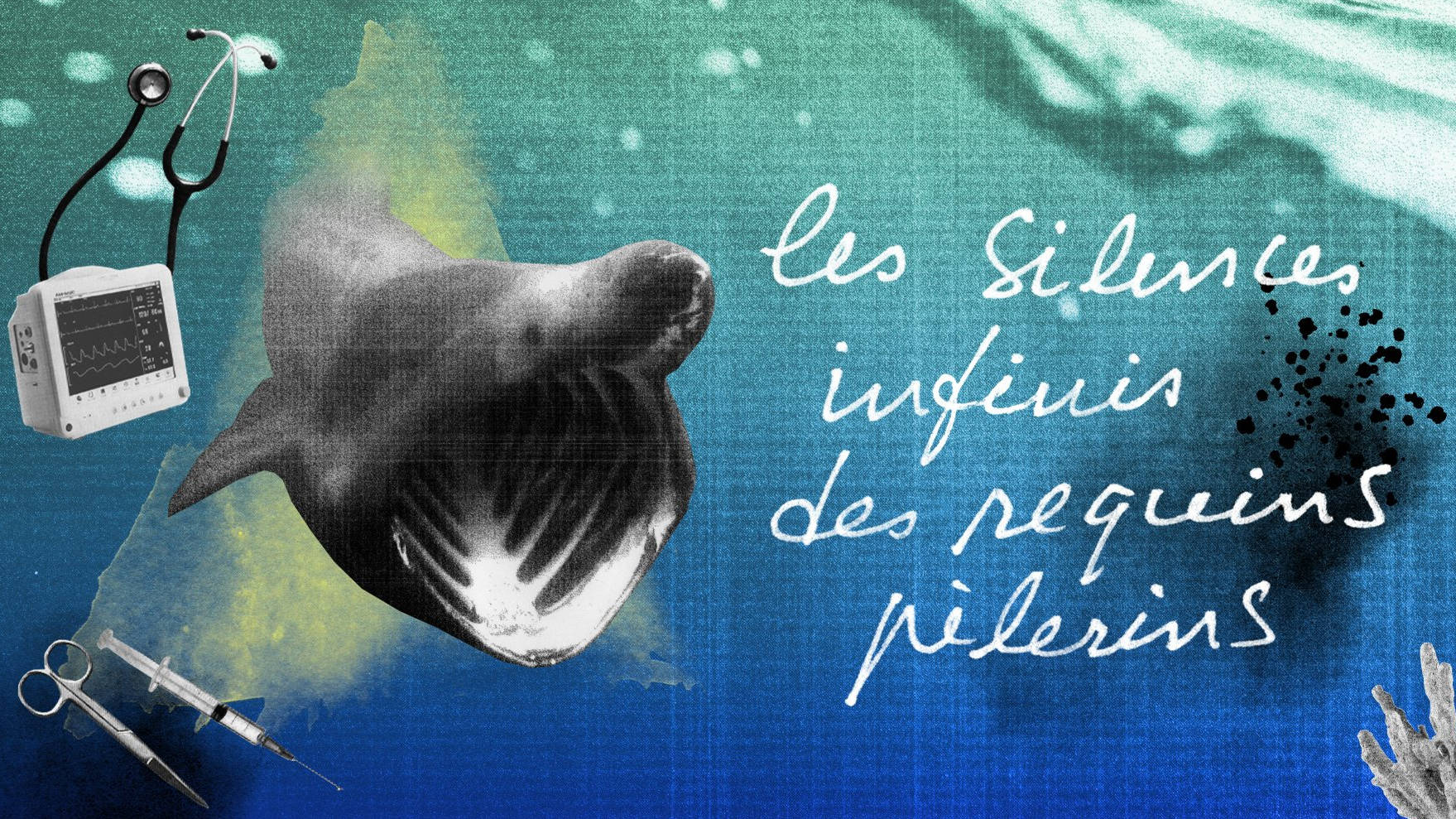 Extrait de l'affiche du spectacle “Les secrets infinis des requins-pèlerins”. Style: collage en papier aux tons pastel bleus et verts . Les éléments du premier plan sont en noir et blanc: un requin à la mâchoire ouverte sans dents et des outils médicaux.